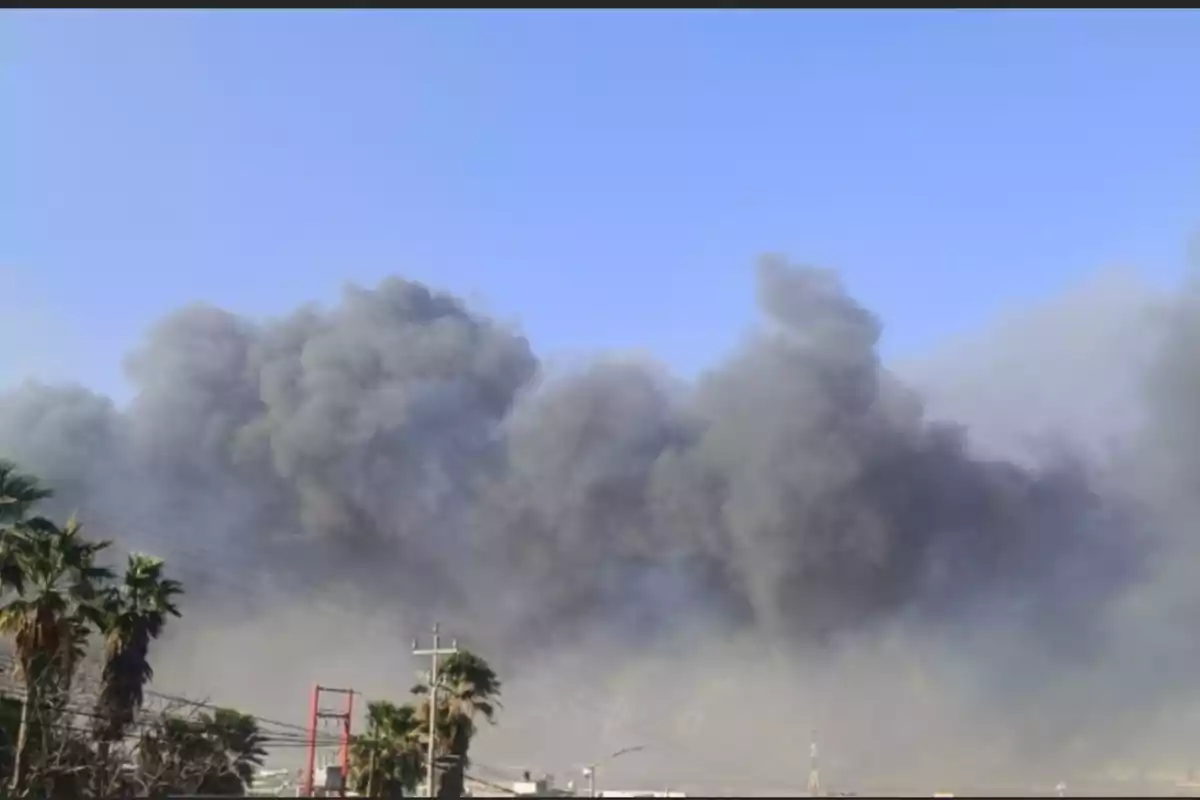 Nube densa de humo negro sobre un paisaje con palmeras y cielo despejado.