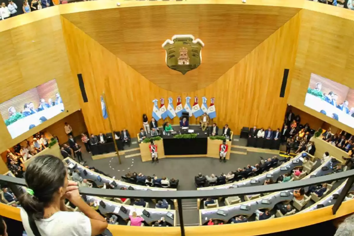 A person observes a session in a legislative chamber with several people seated in a semicircle and flags in the background.