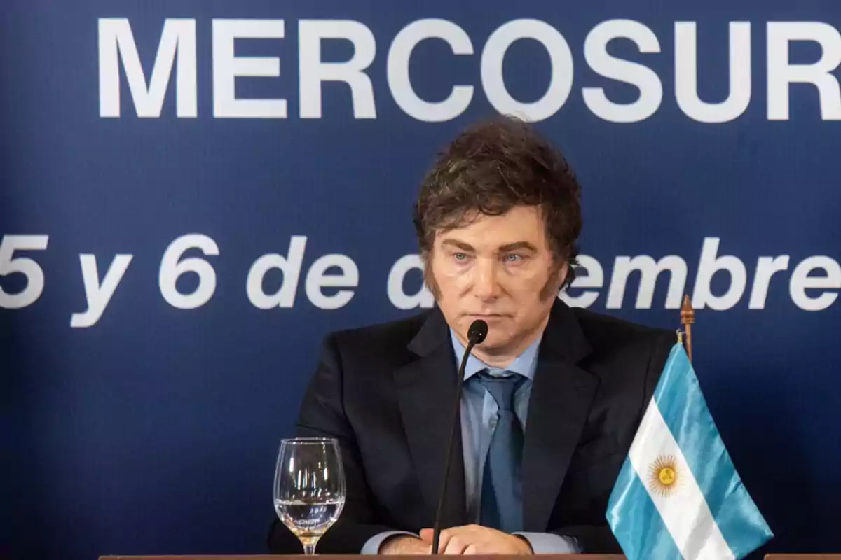 Una persona en una conferencia de prensa con un micrófono frente a un cartel de MERCOSUR y una bandera de Argentina.