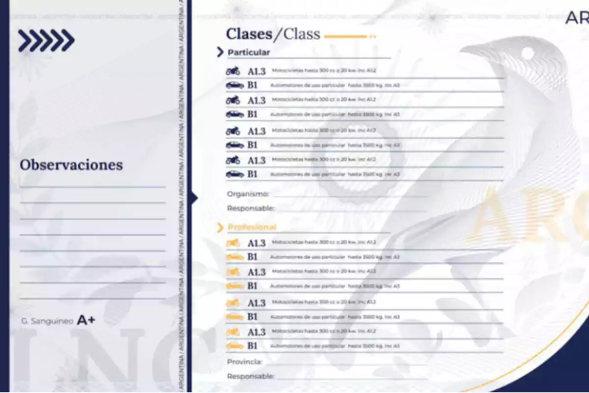 An image of a document showing different types of driver's licenses in Argentina, with categories for private and professional vehicles, including motorcycles and cars, as well as sections for observations, agency, responsible party, province, and blood type. An image of a document showing different types of driver's licenses in Argentina, with categories for private and professional vehicles, including motorcycles and cars, as well as sections for observations, agency, responsible party, province, and blood type.