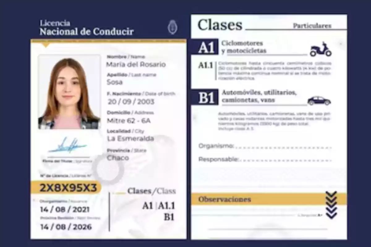 Una licencia de conducir nacional con información personal como nombre, fecha de nacimiento, dirección, localidad, provincia, número de licencia, clases de vehículos permitidos y fechas de emisión y vencimiento. Una licencia de conducir nacional con información personal como nombre, fecha de nacimiento, dirección, localidad, provincia, número de licencia, clases de vehículos permitidos y fechas de emisión y vencimiento.