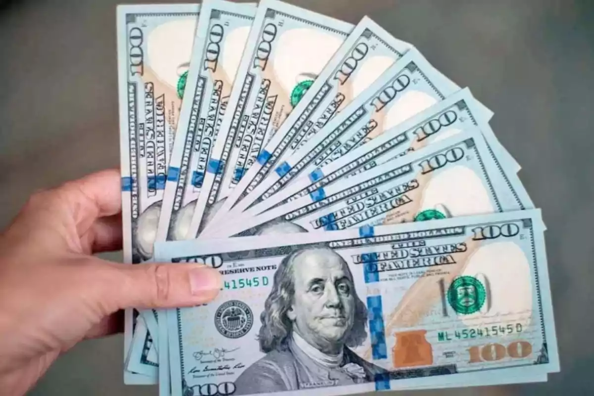 A hand holding several hundred-dollar bills fanned out. A hand holding several hundred-dollar bills fanned out.