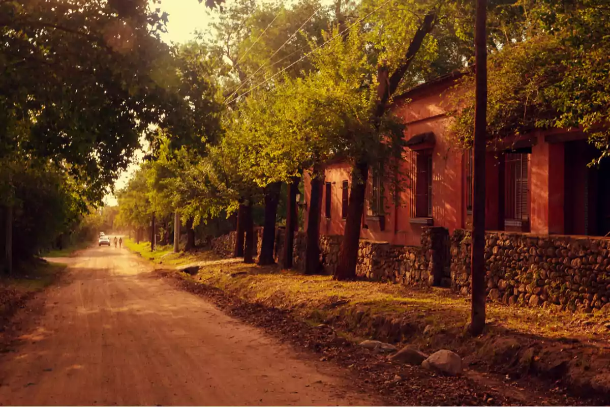 Dirt road lined with trees and a house with pink walls and a stone wall at sunset Dirt road lined with trees and a house with pink walls and a stone wall at sunset