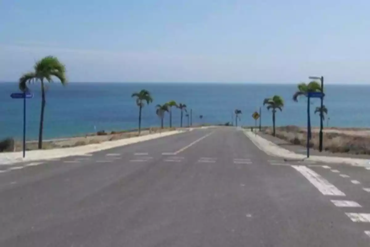 Carretera asfaltada que desciende hacia el mar con palmeras a los lados y cielo despejado Carretera asfaltada que desciende hacia el mar con palmeras a los lados y cielo despejado