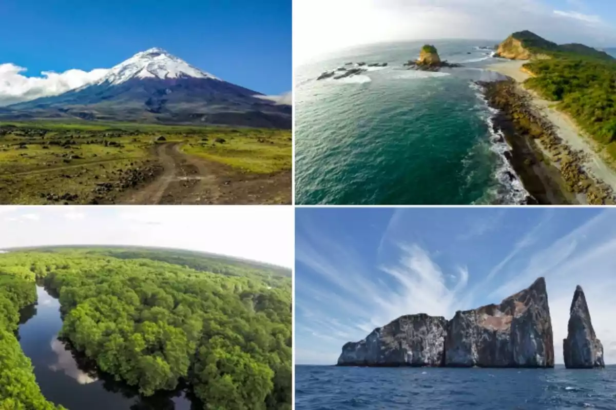 Four natural landscapes of Ecuador that include a snow-capped volcano, a beach with cliffs, a forest with a river, and a rock formation in the sea