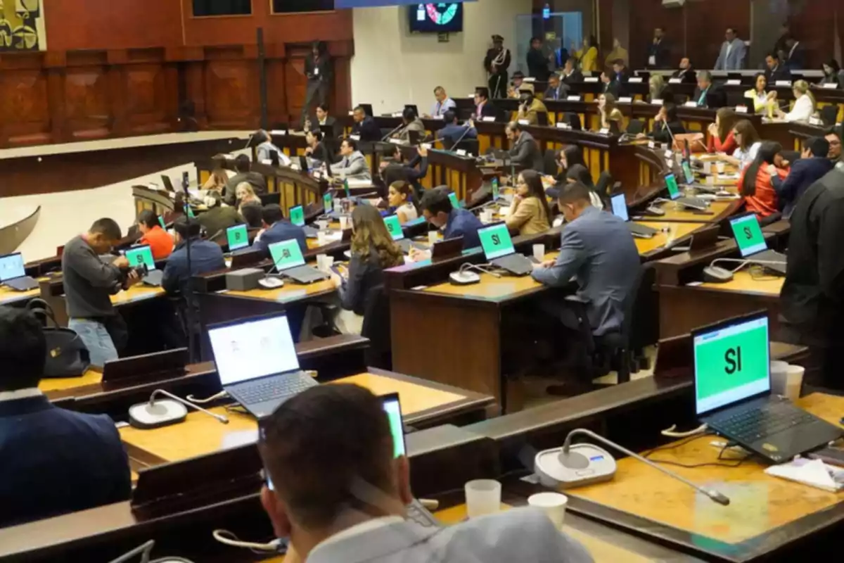 Personas sentadas en un recinto legislativo con computadoras portátiles que muestran la palabra Personas sentadas en un recinto legislativo con computadoras portátiles que muestran la palabra