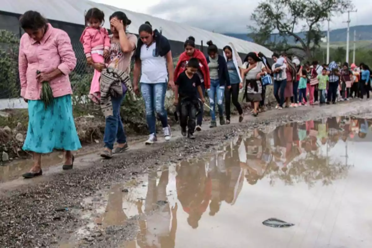 Un grupo de personas camina en fila por un camino de tierra junto a un charco grande.