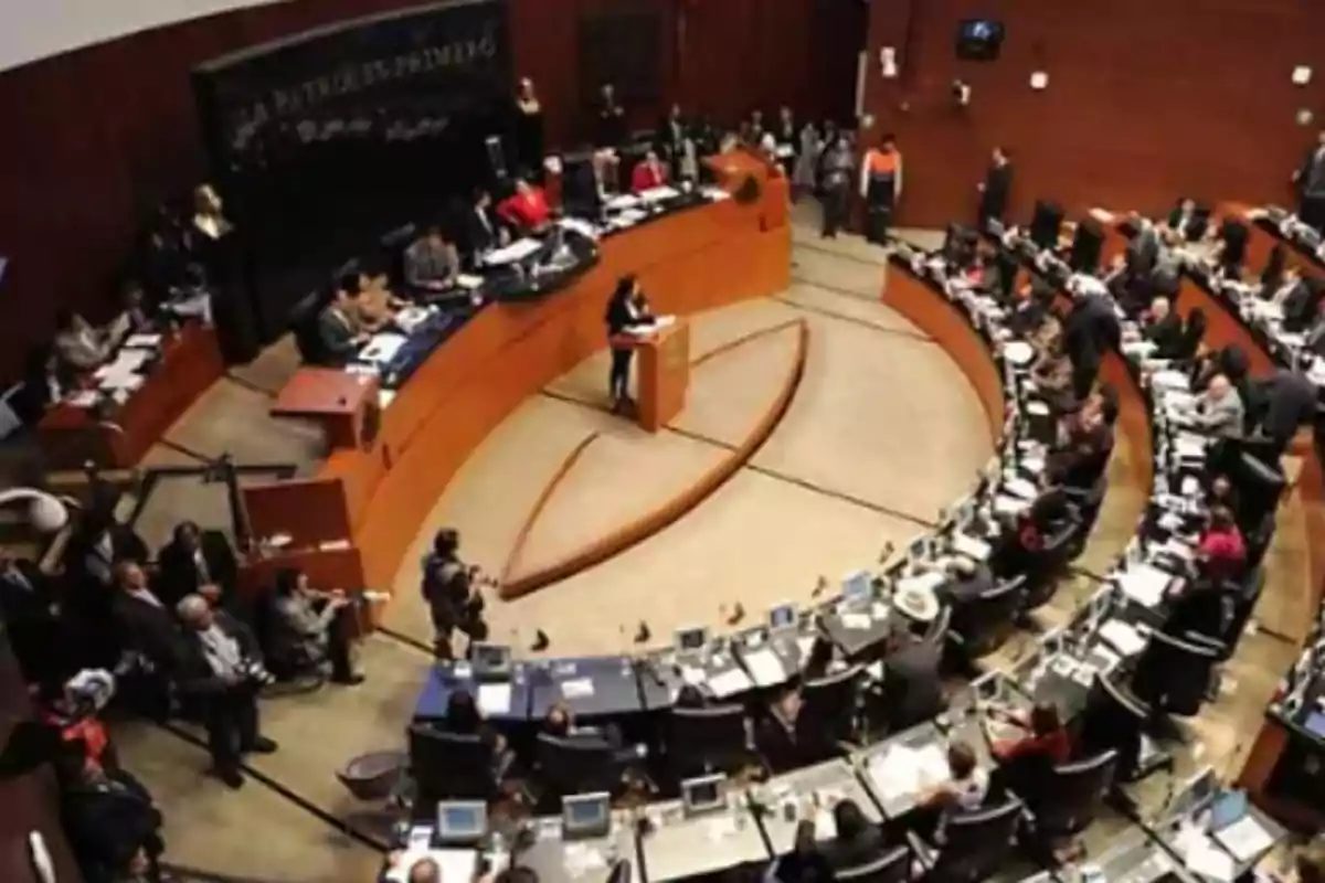 A session in a legislative chamber with people seated at semicircular desks and a person speaking at a central podium.