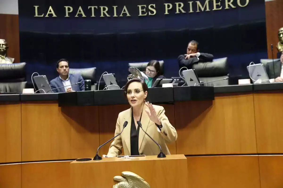 Una persona hablando en un podio en un recinto legislativo con la frase 