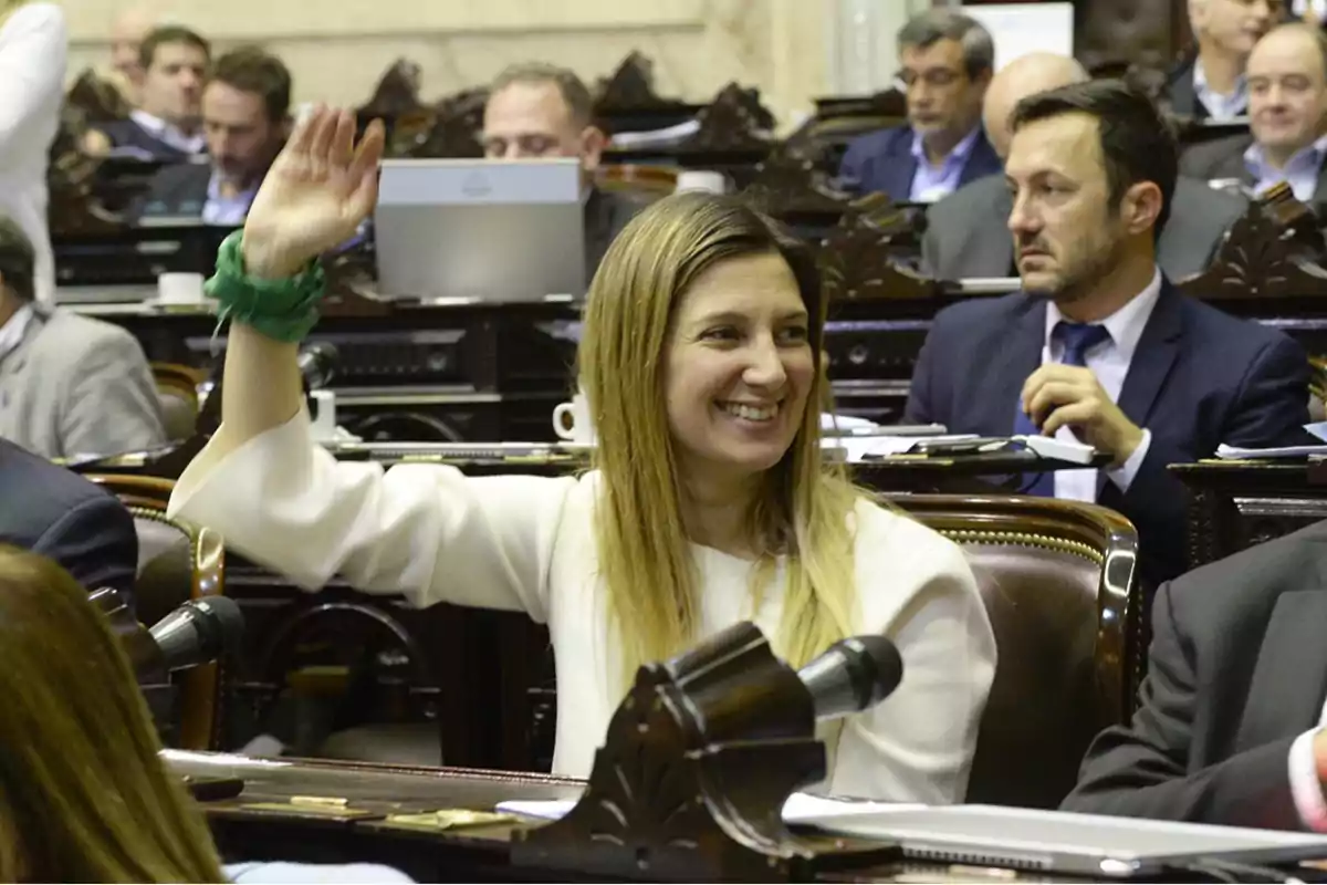 Una persona sonriente levanta la mano en una sesión parlamentaria rodeada de otras personas sentadas. Una persona sonriente levanta la mano en una sesión parlamentaria rodeada de otras personas sentadas.