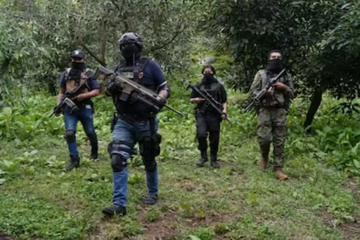Four armed individuals with their faces covered walk through a wooded area with dense vegetation. Four armed individuals with their faces covered walk through a wooded area with dense vegetation.