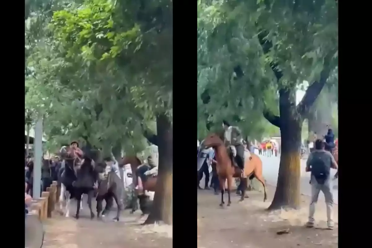 Personas montando a caballo en un área arbolada con espectadores alrededor.