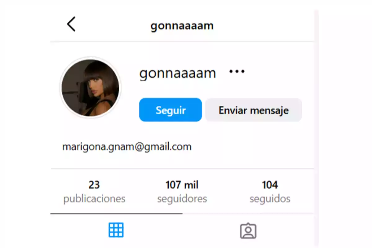 Captura de pantalla de un perfil de Instagram con el nombre de usuario 