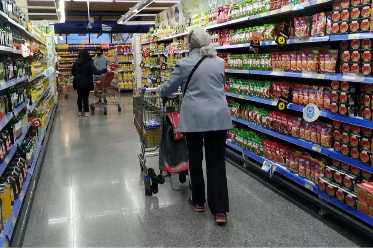 Una persona empuja un carrito de compras en el pasillo de un supermercado, rodeada de estantes llenos de productos.