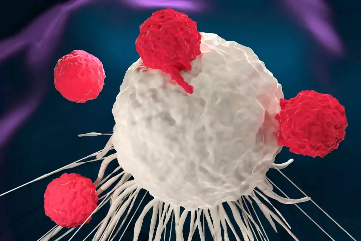 Células T atacando una célula cancerosa en un entorno microscópico. Células T atacando una célula cancerosa en un entorno microscópico.