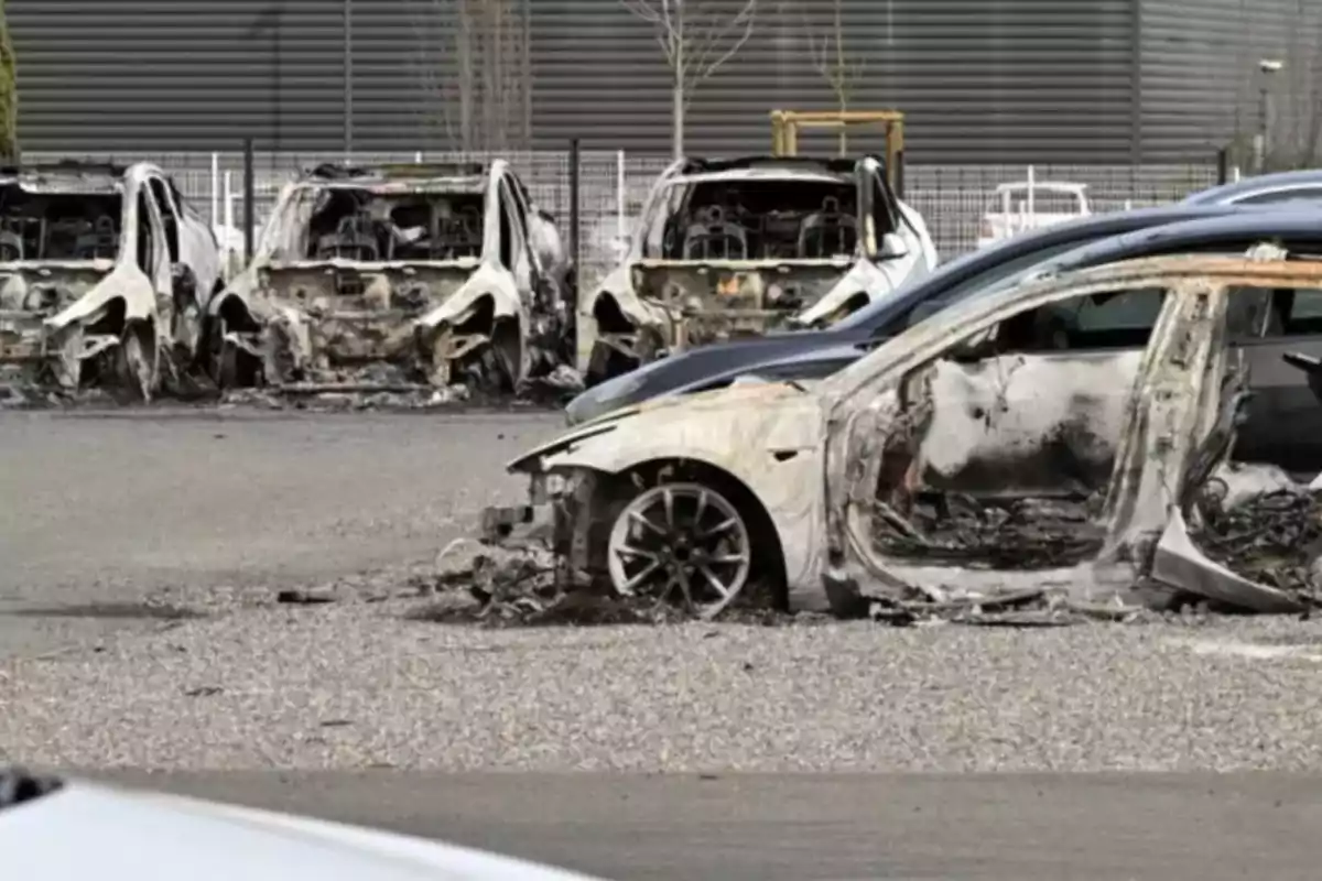 Several cars burned and destroyed in a parking lot.