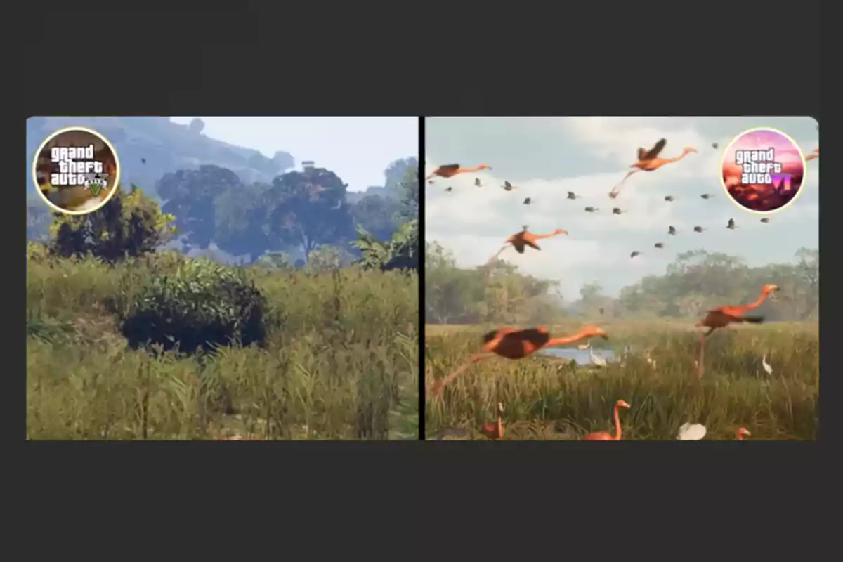 Comparación de paisajes en dos videojuegos, uno con vegetación densa y otro con flamencos volando sobre un humedal.