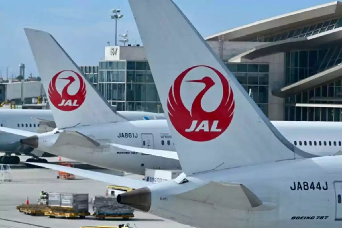 Japan Airlines planes parked at an airport with the terminal in the background Japan Airlines planes parked at an airport with the terminal in the background