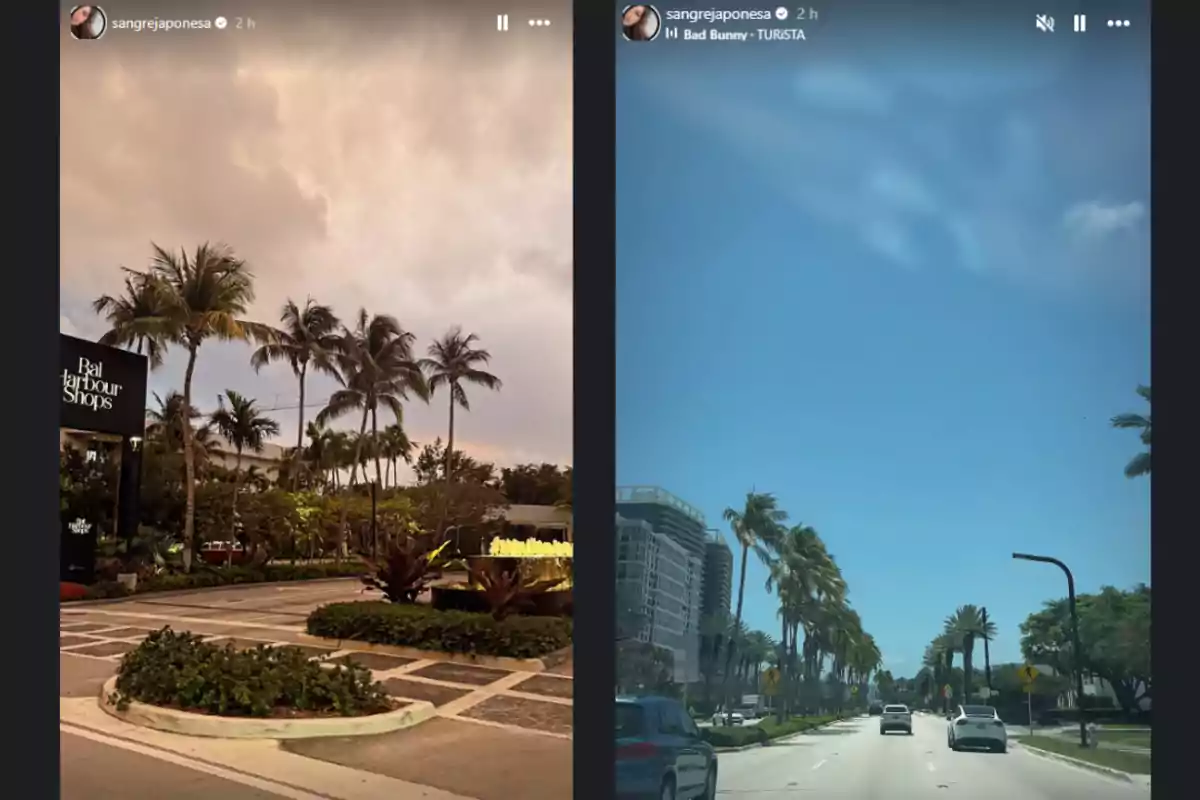 Dos imágenes muestran un paisaje urbano con palmeras, una al atardecer cerca de Bal Harbour Shops y otra de una avenida soleada con cielo azul. Dos imágenes muestran un paisaje urbano con palmeras, una al atardecer cerca de Bal Harbour Shops y otra de una avenida soleada con cielo azul.