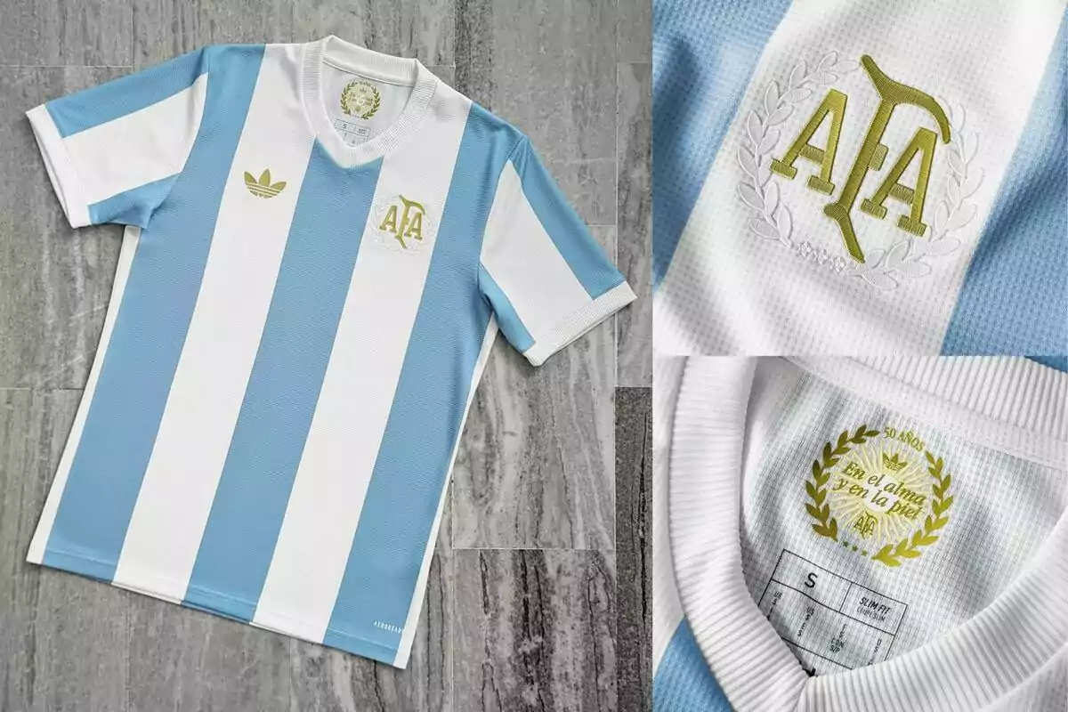 Camiseta de fútbol con franjas verticales celestes y blancas con detalles dorados y logotipo de la AFA.