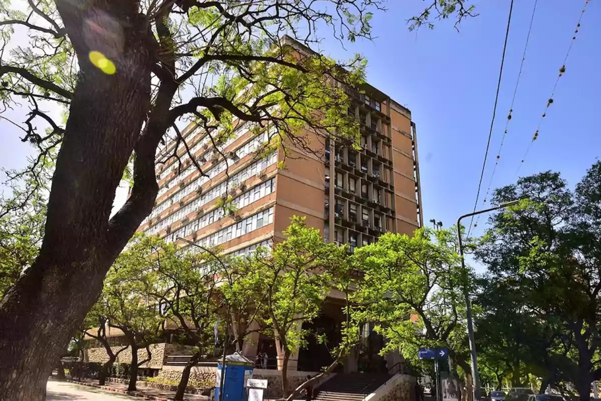 Edificio alto rodeado de árboles con cielo despejado.