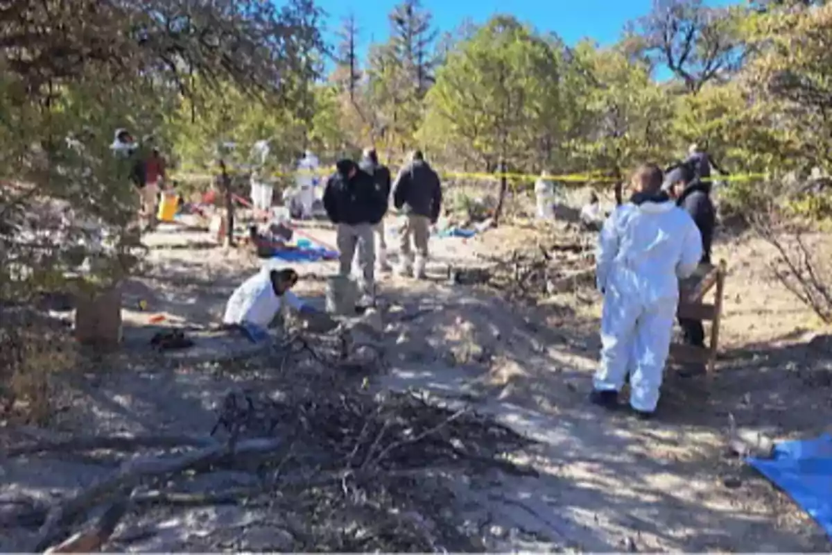 Un grupo de personas con trajes de protección trabaja en una escena al aire libre rodeada de árboles y cinta de seguridad.