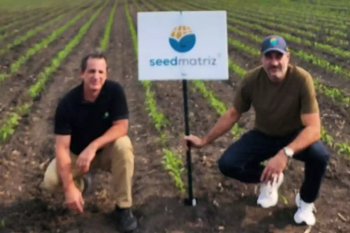 Dos hombres agachados en un campo de cultivo junto a un letrero que dice seedmatriz Dos hombres agachados en un campo de cultivo junto a un letrero que dice seedmatriz