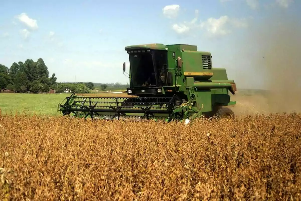 A green harvester working in a field under a clear sky. A green harvester working in a field under a clear sky.
