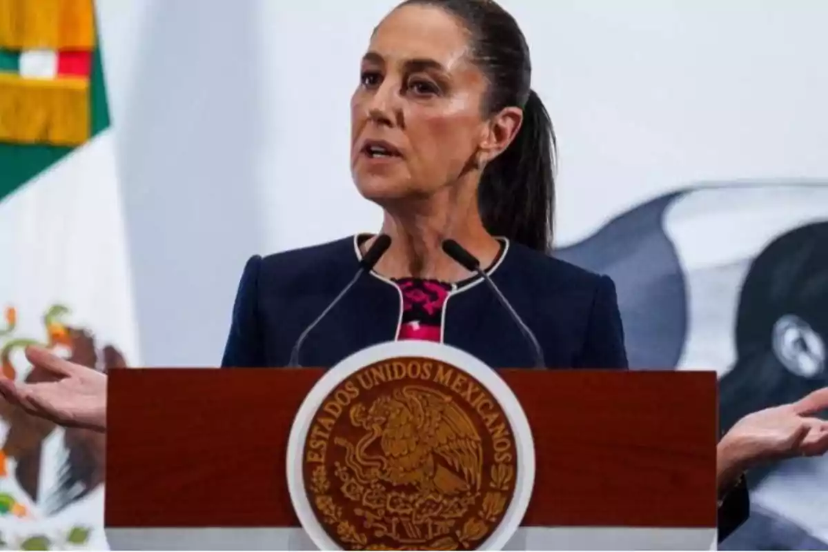 A person speaking at a podium with the coat of arms of Mexico. A person speaking at a podium with the coat of arms of Mexico.