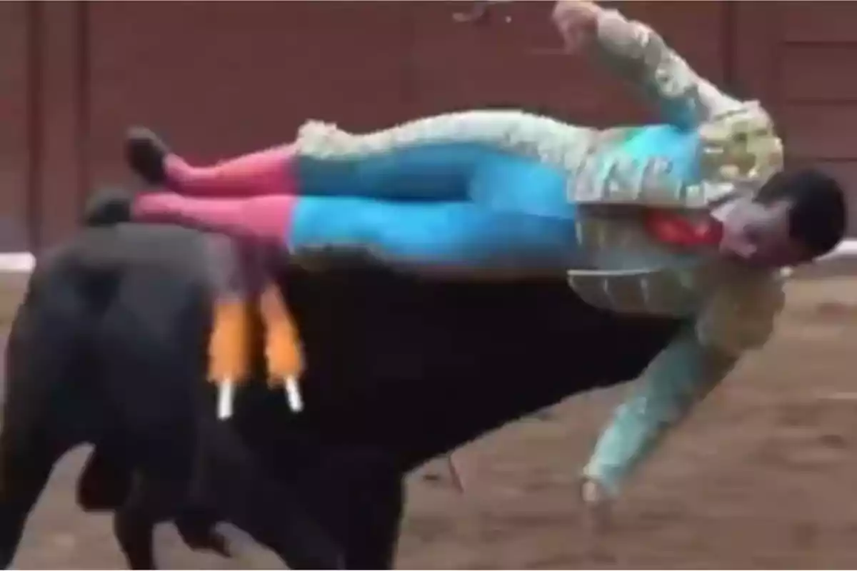 Un torero vestido de traje tradicional es levantado en el aire por un toro en una plaza de toros.