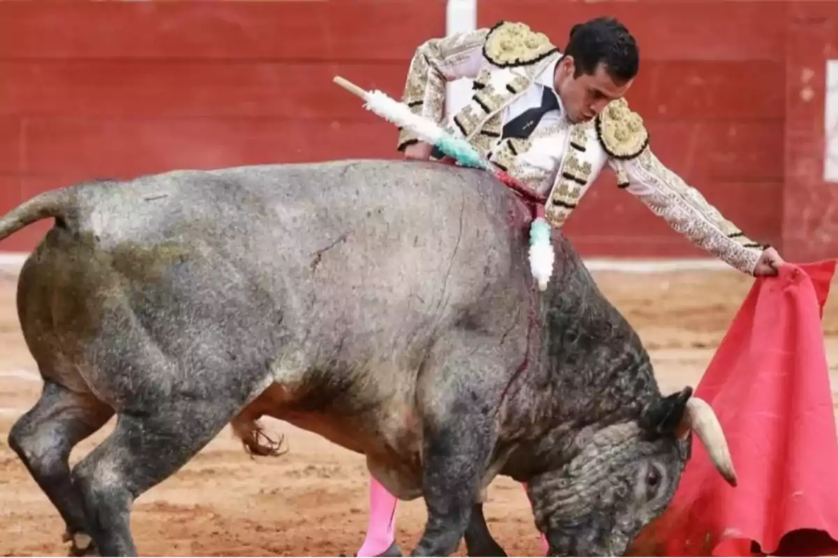 Un torero en la plaza de toros sosteniendo una muleta roja mientras el toro se acerca.